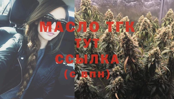 мет Елабуга