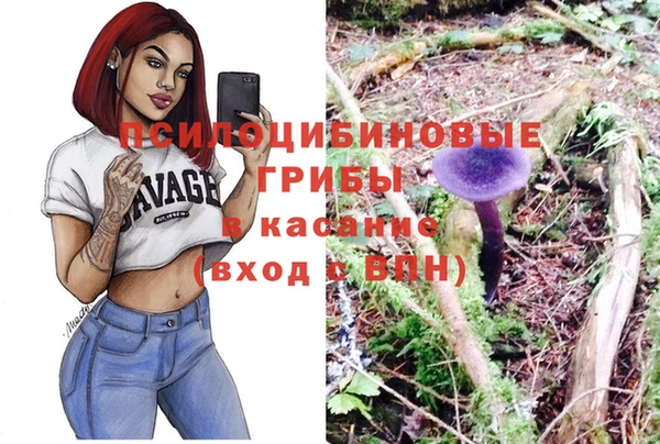бутират Елизово