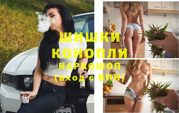 бошки Дмитров