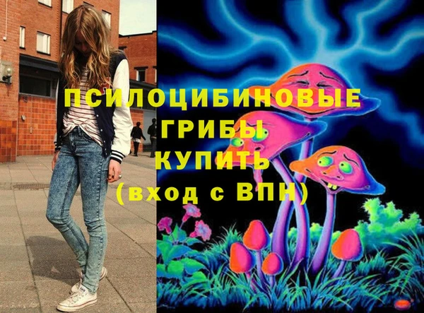 мдма Дмитриев