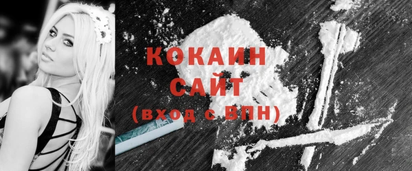 бошки Дмитров