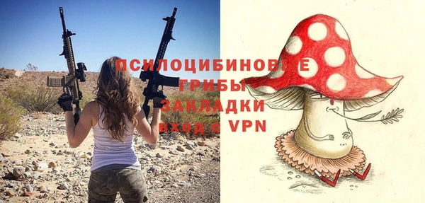 мдма Дмитриев
