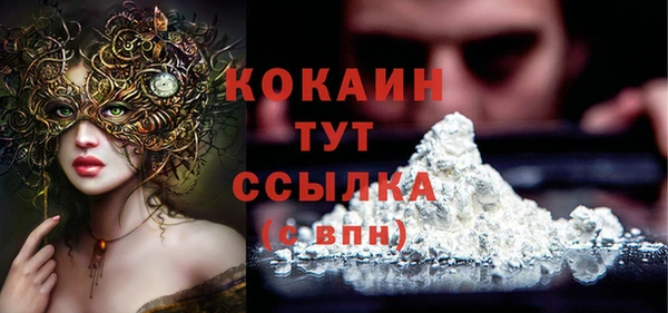 мет Елабуга