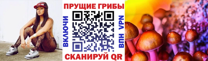 Купить  Армянск  Галлюциногенные грибы ЛСД 